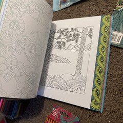 Variety Adult Coloring Books Pencil ETC