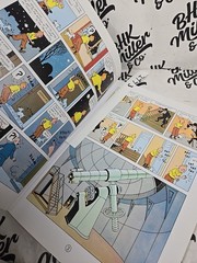 The Shooting Star (The Adventures of Tintin) Paperback