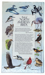 Reader’s Digest Book of North American Birds 1990 600 Species 576 Pages Illos