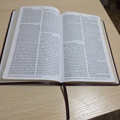 ESV Large Print Value Thinline Bible (TruTone, Mahogany, Border Design) by…