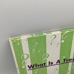 WHAT IS A TREE (The What Is It Series) by Gene Darby, Benfic Press, 1962