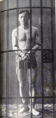 Life and Many Deaths of Harry Houdini Ruth Brandon Random House 1994 368 Pages