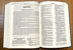 French Bible LARGE PRINT Compact, Louis Segond 1910, Marine Blue Vinyl