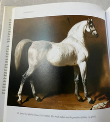 Out of the Desert -Peter Upton -Arabian Horse Book- Breeds of Britain-NEW