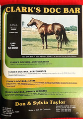 1979 Quarter Horse Journal, Book, STALLION EDITION! – KIDNAP BAR – ZAN PARR BAR