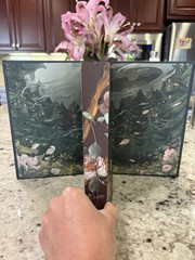 Shield of Sparrows Devney Perry GOLD Edition Romantasy – sprayed edges