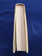 FIMA – FIRST AMERICAN EDITION INSCRIBED BY AMOS OZ