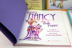 Lot of 5 Fancy Nancy Hardcover Books 3 w/DJs by Jane O’Connor Posh Puppy & MORE