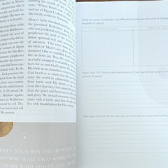 The Daily Grace Co. Journey to Freedom Kyra Daniels Moses Bible Study PB 2017