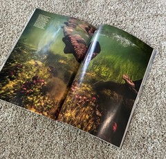 🟥 March 2026 National Geographic magazine Spider Silk, Vikings SPECIAL ISSUE