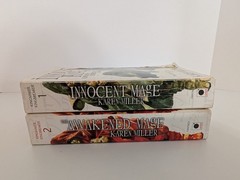 Kingmaker Kingbreaker by Karen Miller Books 1-2 Duology Epic Fantasy Series