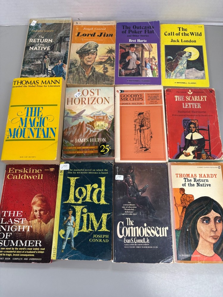 Classic Novels Lot of 12 Paperbacks (See Photos for Titles)