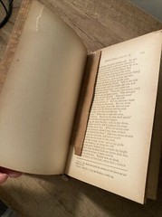 Vintage 1800’s Purgatory By Dante. Illustrations By Gustavo Dore