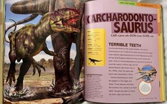 Lot 2 Dinosaur books National Geographic Kids Dino-Pedia and First Big Book