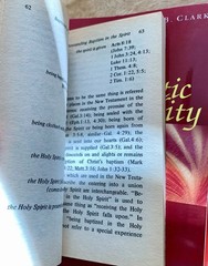 Lot of 3 Catholic Charismatic books by Stephen Clark and Raymond Brown