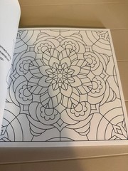 New Seasons Calm Coloring Adult Stress Relief Activity Book