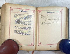 Forget me not; Scripture Texts, 1911, E-92