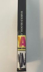 The Diary Of Ann Frank Hardcover Harold Bloom Critical Interpretations