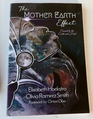 MIXED Set of 3 Paperback Books „Identity, Earthing, Mother Earth Effect” (EUC)
