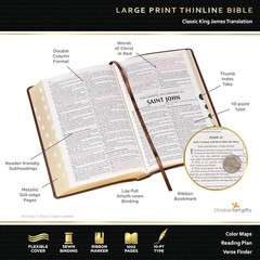 The Holy Bible King James Version LARGE PRINT Thumb Indexed Edition / TAN Faux L