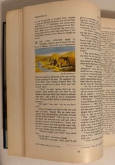 The Living Bible Holman Illustrated Edition -Paraphrased 1973 Tyndale Color pics