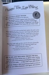 MIXED Set of 3 Paperback Books „Identity, Earthing, Mother Earth Effect” (EUC)
