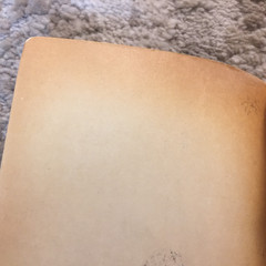 My Sky Is Blue Loula Grace Erdman 1965 Willow Books School Story Romance Book