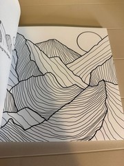 New Seasons Calm Coloring Adult Stress Relief Activity Book