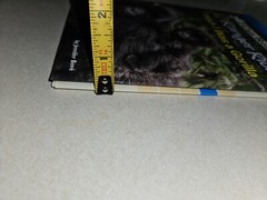 I Can Read Level 1 Ser.: Ranger Rick: I Wish I Was a Gorilla by Jennifer Bové…