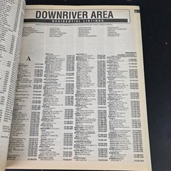 Detroit Downriver Area-Wide Telephone Directory 1998-99 TDI Talking Phone Book