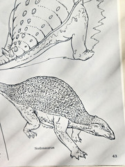 A Field Guide to Dinosaurs Coloring Book – Like New/Unused Vintage 1989 Rare PB