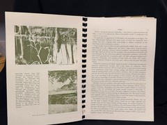 Bayou Cuisine Indianola Mississippi St. Stephens Episcopal Cookbook 1970 1st Ed