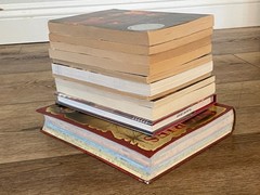 BOYS Chapter Books Lot of 11 ~ 8-12 Years Old – Classroom Library Homeschool