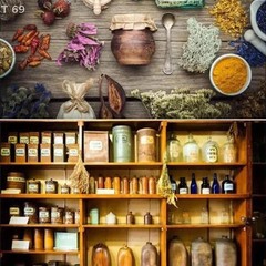 Share The Holistic Home Apothecary 1000+ Forgotten Remedies