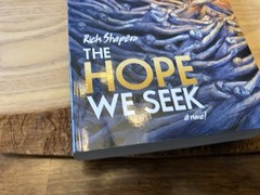 The Hope We Seek. Rich Shapero. 432 Pages. Paperback.