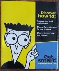 Feng Shui for Dummies (Miniature Edition) Hardcover 3.25 x 2.75