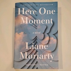 Here One Moment A Novel – VERY GOOD