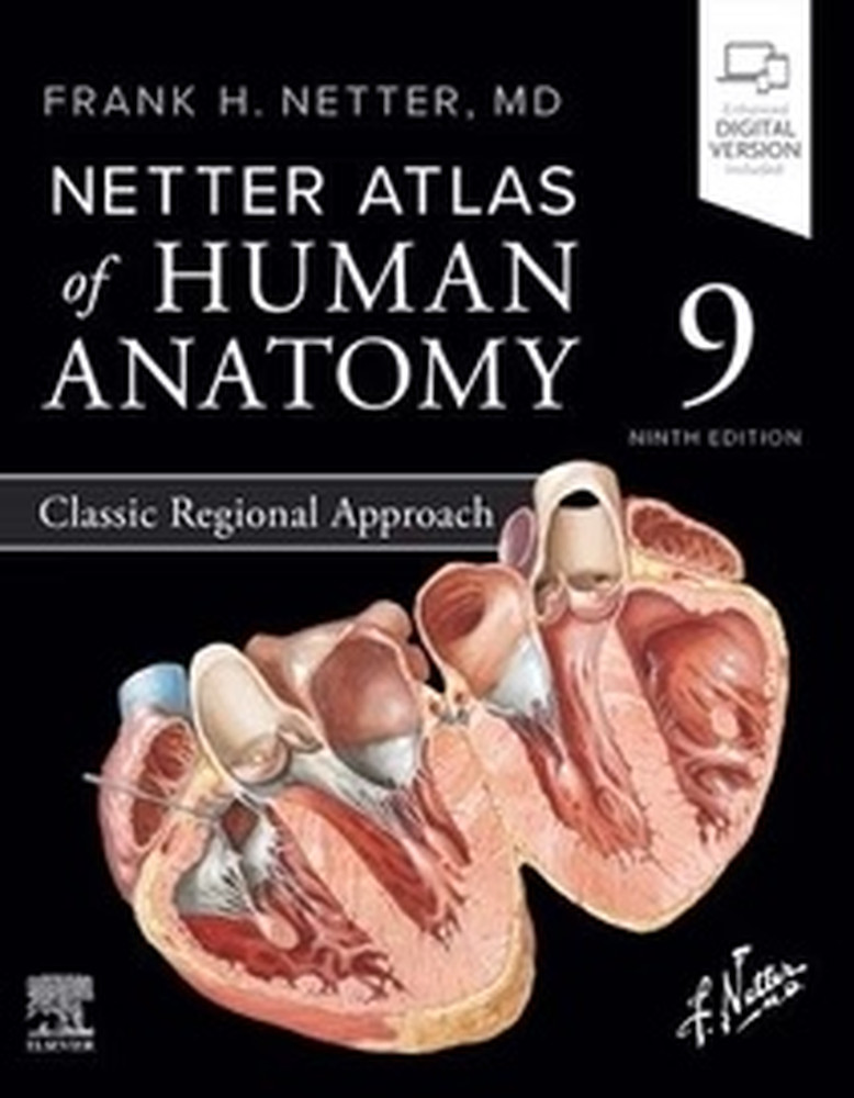 Netter Atlas of Human Anatomy : Classic Regional Approach, Paperback by Nette…