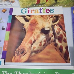 Lot of 12 – Picture Books (10 Accelerated Reader) – Grades 1, 2, 3 – HMH – ELA
