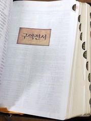 Korean-English Enriched Bible NIV Red Letter Edition Leather Zip Song Hymnal