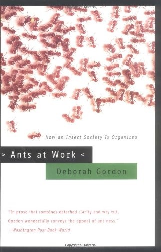 ANTS AT WORK: HOW AN INSECT SOCIETY IS ORGANIZED By Deborah Gordon **BRAND NEW**