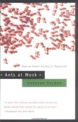 ANTS AT WORK: HOW AN INSECT SOCIETY IS ORGANIZED By Deborah Gordon **BRAND NEW**