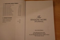 The Shadow Work Journal: A Guide to Integrate and Transcend your Shadows