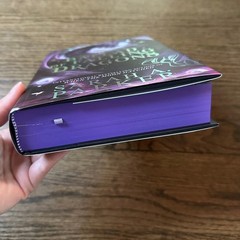The Locked Library SE The Ballad Of Falling Dragons Sarah. A Parker Hardcover