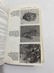 VTG 1970 WILLIAM HILLCOURT NATURE ACTIVITIES AND HOBBIES HC BOOK