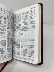 HCSB Large Print Compact Bible • Burgundy Bonded Leather (2005, Holman)