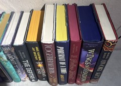 RARE AUTHOR SIGNED DELUXE HARDCOVER DJ NOVEL COLLECTION -Action/romance/suspense