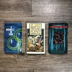Madeleine L’Engle 3 Books Wrinkle in Time Wind in Door Tilting Planet Vintage