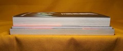 Temptation Discernment Saving Damned Catholics Hollywood Views 3 PB book lot