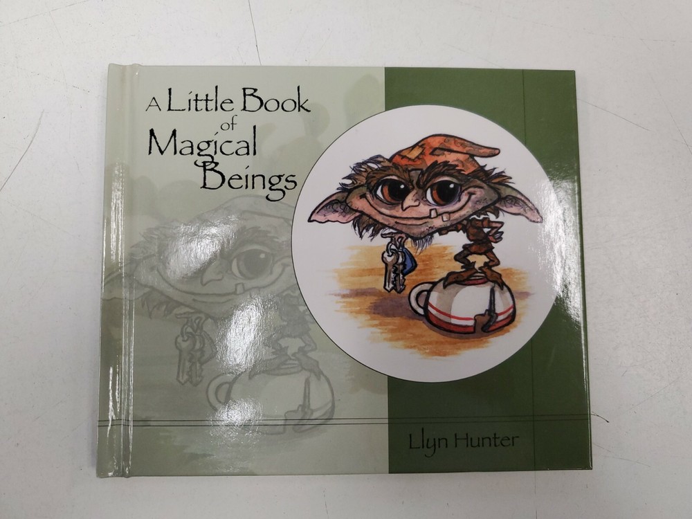A Little Book of Magical Beings Llyn Hunter 2008 Hardcover 1st edition signed